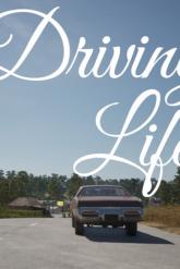Driving Life on PC (Steam) Driving Life