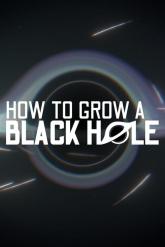 How To Grow a Black Hole on PC (Steam) How To Grow a Black Hole
