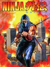 Ninja Gaiden ( Shadow Warriors )